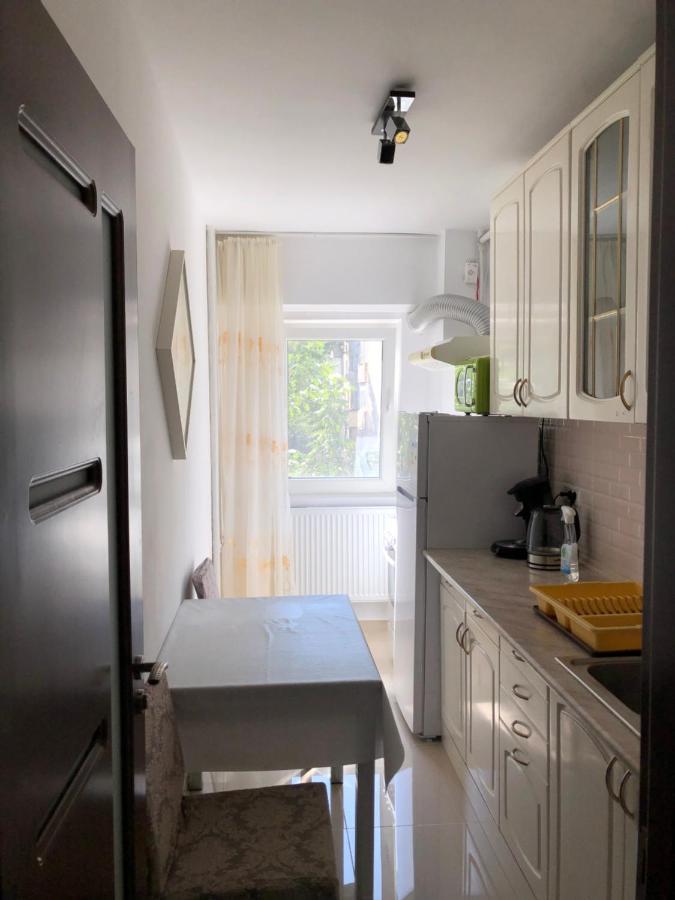 Le Garcon De Cristina-Simple,Quiet,Spacious Studio Bukurešť Exteriér fotografie