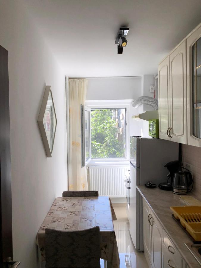Le Garcon De Cristina-Simple,Quiet,Spacious Studio Bukurešť Exteriér fotografie